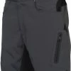 Zoic Ether 9 Short + Ess. Liner Blk Xl