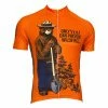 Retro Image Apparel Two Smokey Bear Men's Cycling Jersey (Small)