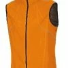 GORE Wear Men's OZON Vest With WINDSTOPPER Active Shell - ORANGE (Small) -challenge shop VYKpoax7IOwN9ttVXWn2A69AQ