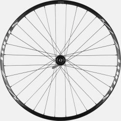 Specialized Stout Xc Sl 29 141 Rear 2022 -challenge shop fCJdm1fdJBoK8HE7sgtqTuYZI 1