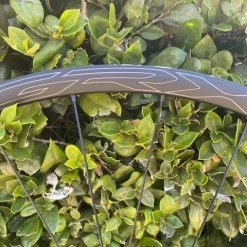 Shimano GRX570 DB TR W/S -challenge shop igzW8wouO4IVHsU3dCb0jYNvA