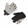 Endura FS260 Pro Aerogel Mitt II 2017