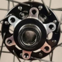 Velocity Blunt 35 29er Wheelset Novatec Convertible Hubs Wheelset 6B Tubeless Shimano/SRAM 22 Velocity Blunt 35 29er Wheelset Novatec Convertible Hubs Wheelset 6B Tubeless Shimano/SRAM -challenge shop u5RvsqhLW5bBEC6AJC1gxrYUE